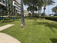 Недвижимость Villa Cannes: 1