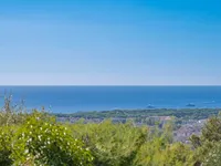 Недвижимость Villa Cannes: 3
