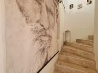 Недвижимость Villa Cannes Vallauris: 11
