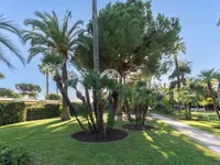 Недвижимость Apartment Cannes: 1