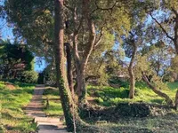 Недвижимость Villa Cannes: 4