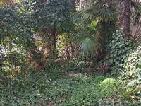 Недвижимость Трехкомнатная квартира в Центре: 15