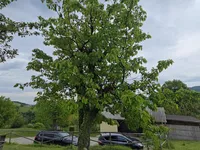 Недвижимость Дом, Лесично: 12