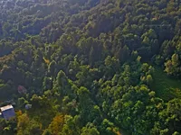 Недвижимость Усадьба Кметияново в Горичице под Кримом: 10