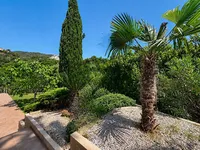 Недвижимость Villa Mandelieu-La Napoule: 3