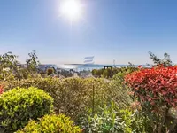 Недвижимость Property Cannes: 3