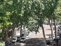 Недвижимость Villa Carnot Cannes: 18