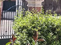 Недвижимость Villa Carnot Cannes: 19