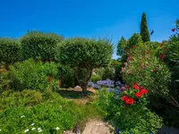 Недвижимость Villa Cannes Californie: 18