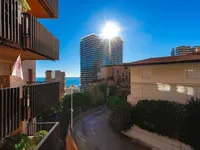 Недвижимость Apartment Monaco, La Rousse: 11