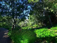 Недвижимость Villa Cannes Croix des Gardes: 24