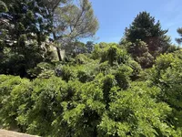 Недвижимость House Cannes: 3