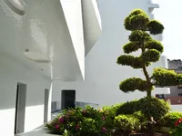 Недвижимость Apartment Monaco, Condamine: 10