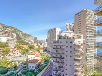 Недвижимость Apartment Monaco, La Rousse: 14