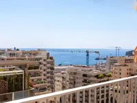 Недвижимость Apartment Monaco, La Rousse: 1