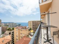 Недвижимость Apartment Monaco, La Rousse: 9