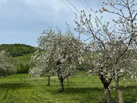 Недвижимость House, Yurovsky Dol: 5