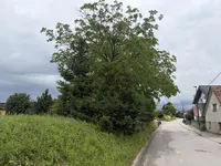 Недвижимость Парный дом Новый Бизовик: 4