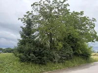 Недвижимость Парный дом Новый Бизовик: 6