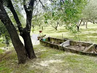 Недвижимость Трёхкомнатная квартира Кортэ: 11
