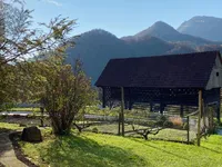 Недвижимость The 'Veshina' estate in a quiet sunny location: 7