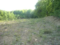 Недвижимость Doblezhiche Estate and Farm: 1
