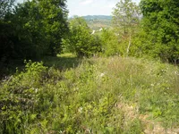 Недвижимость Doblezhiche Estate and Farm: 2