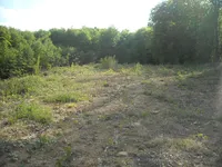Недвижимость Doblezhiche Estate and Farm: 3