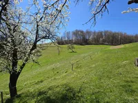 Недвижимость Estate, Drobinskiy's farm.: 17