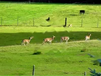 Недвижимость Дом в Верхней Липнице: 2