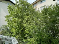 Недвижимость House with Terrace New Ljubljana Šiška: 5