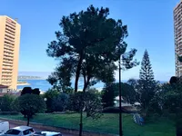 Недвижимость Apartment Monaco, Monte-Carlo: 13