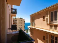 Недвижимость Apartment Monaco: 11