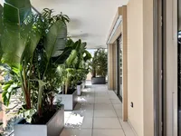 Недвижимость Apartment Monaco, La Rousse: 10