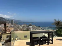 Недвижимость Apartment Monaco, Jardin Exotique: 7