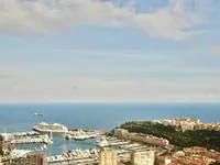 Недвижимость Apartment Monaco, Jardin Exotique: 13