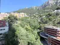Недвижимость Apartment Monaco, La Rousse: 7