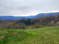 Недвижимость Tolsty Vrk Estate and Farm: 4
