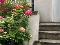 Недвижимость Finborough Road: 3