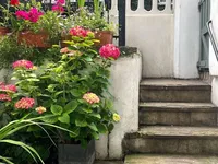 Недвижимость Finborough Road, Chelsea: 3