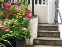 Недвижимость Finborough Road, Chelsea: 1