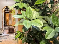 Недвижимость Apartment Monaco, Carre d'Or: 2