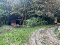 Недвижимость Земельный участок в поселке Чернивец: 4