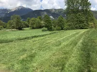 Недвижимость Участок, Сельскохозяйственные земли Новый Храше: 4