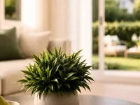 Недвижимость Apartment 5 rooms: 4