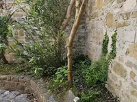 Недвижимость House with a terrace in the center of Piran: 21