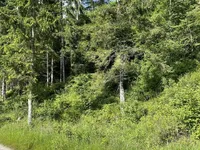 Недвижимость Estate, Podelie Farm.: 12