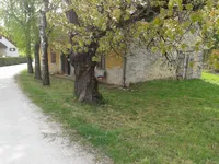 Недвижимость Topoly Estate, Tekachevo: 9