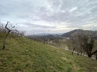 Недвижимость Дом, Градище, Птуйщина: 9