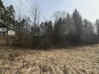 Недвижимость Участок для инвестиций на Бледе: 5